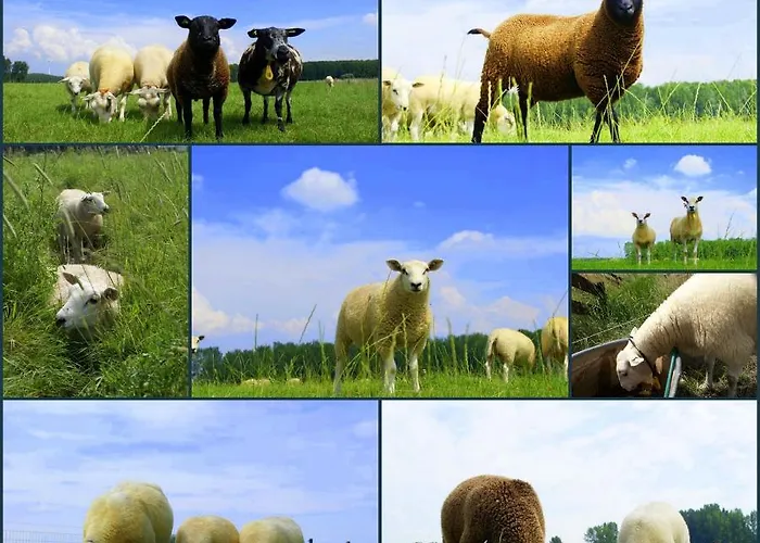 Raafjeshof - * Culemborg