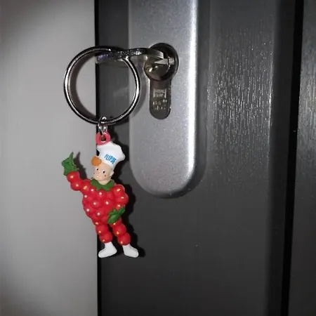 Apartament Raafjeshof -